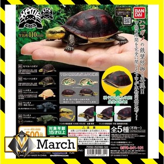 Mô hình trứng Gashapon rùa cạn - rùa biển - BANDAI