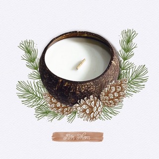 Nến thơm gáo dừa - pine & sandalwood