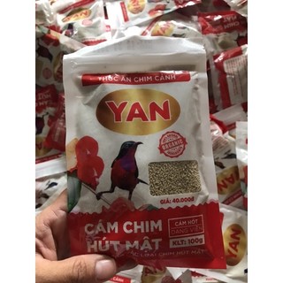 Cám chim hút mật, ốc mít Yan dưỡng, hót