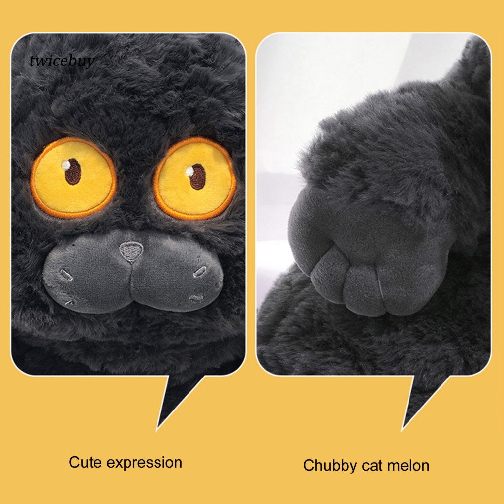 Đồ chơi nhồi bông Hình Mèo Hoạt Hình 40cm