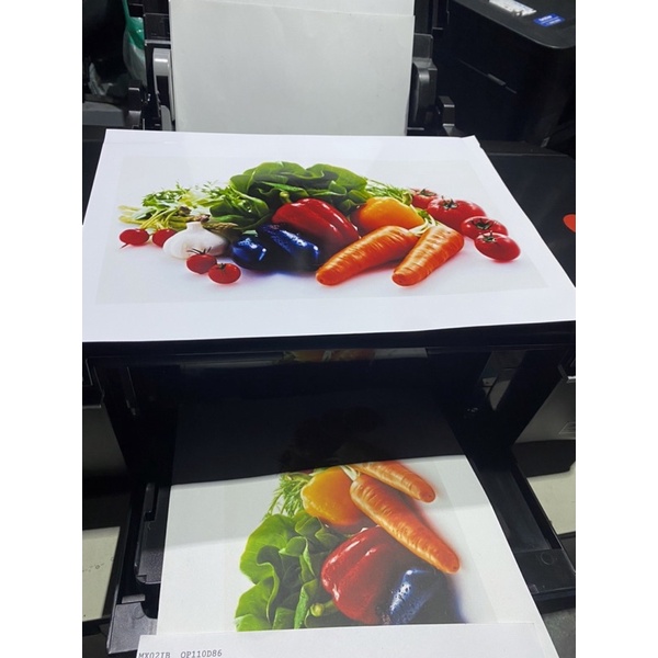 Máy in màu Epson L805 cũ