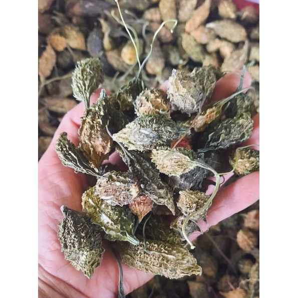 Giá đầu nguồn Khổ qua rừng (mướp đắng) sấy khô 1kg nguyên trái cao cấp nguonduoclieu đường huyết, giảm cân, mát gan