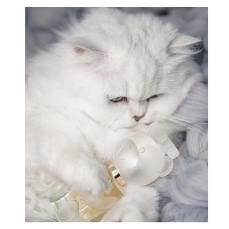 Nước Hoa Moschino Toy 2