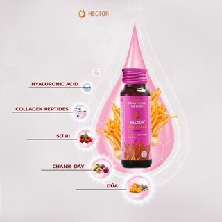 (Chính Hãng Hộp 10 Chai):Hector Collagen Đông Trùng Hạ thảo