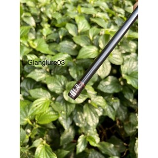 Cần câu Ranger 3