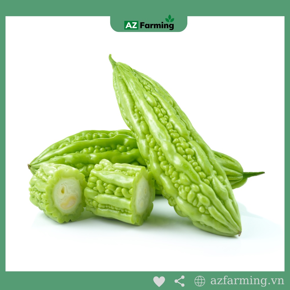 Hạt Giống Khổ Qua (Mướp Đắng) - Gói 30 Hạt - AZ Farming