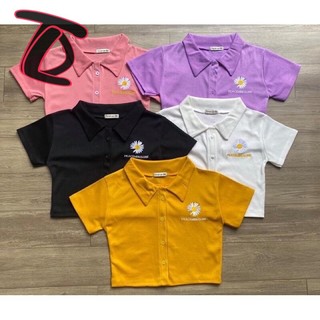 [ HÀNG SẴN ] áo croptop cổ bẻ thêu hoa cúc nhiều màu - Dư Tú Lệ