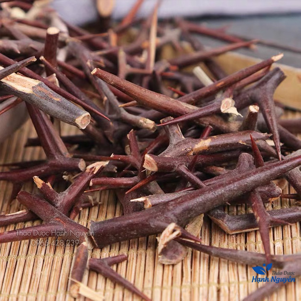 Gai bồ kết khô 1kg (Tạo giác thích)