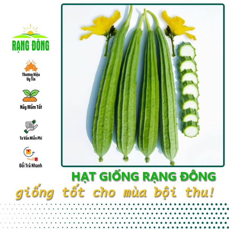 Hạt giống Mướp Khía trái dài, trồng quanh năm (gói 1 gr) - Hạt giống Rạng Đông