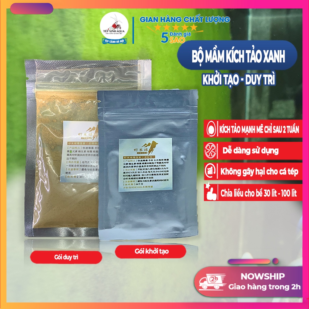 Mầm kích tảo xanh - mầm tảo lục, tảo bông cho bể tép sulawesi - Tép xinh aqua