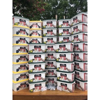 Bột a21, a19 nutri bird dinh dưỡng cho chim non