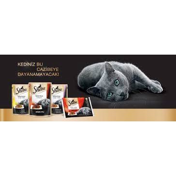 Pate Sheba USA 70g 🐶 FREE SHIP 🐶 Thức Ăn Nhập Khẩu Cho Mèo