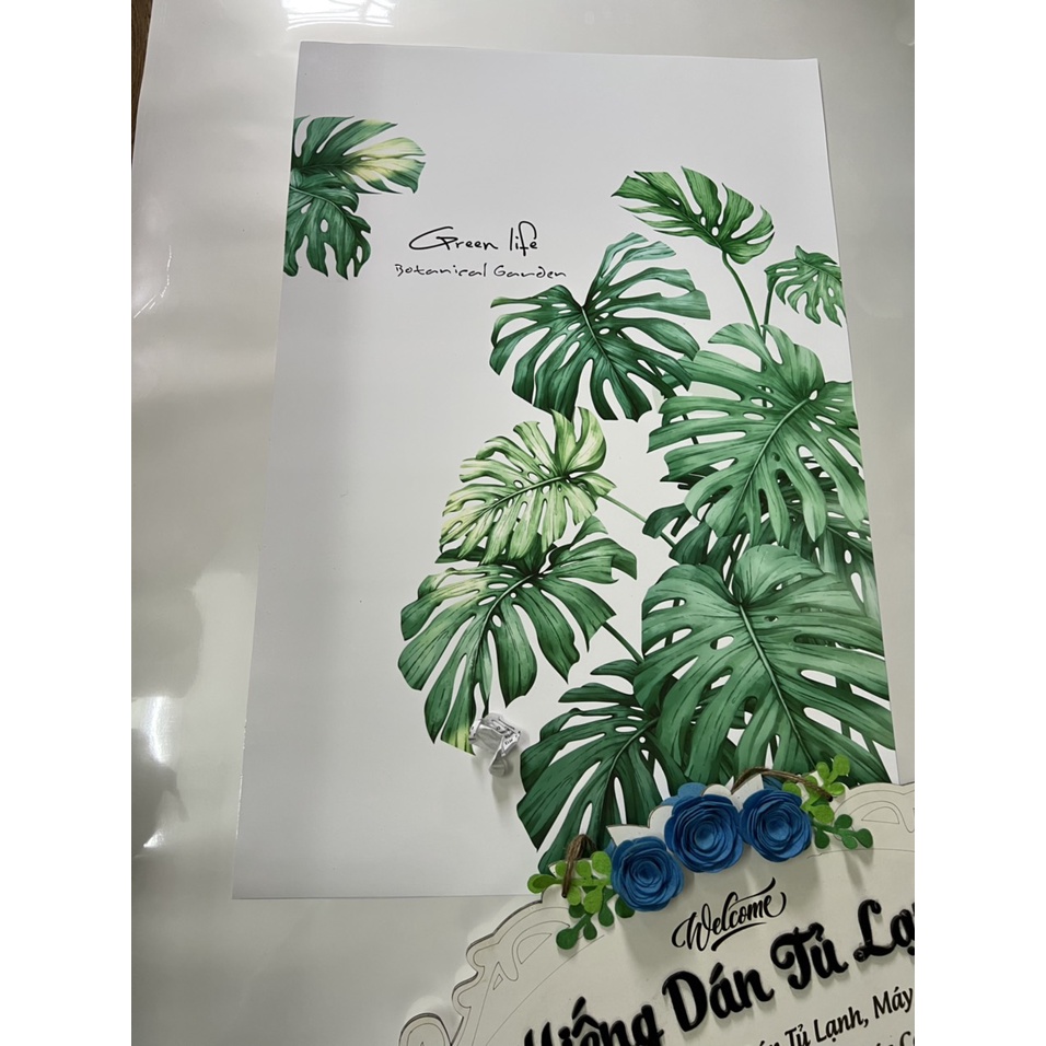 Miếng dán máy giặt lá cây nhiệt đới