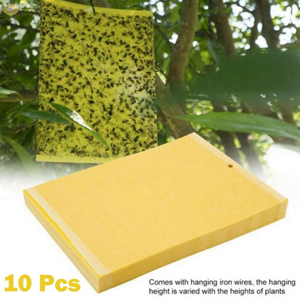 Set 10 Miếng Dán Bẫy Ruồi Muỗi Tiện Dụng Chất Lượng Cao