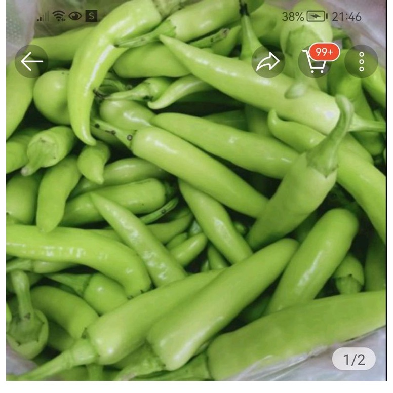 1KG ỚT SỪNG XANH (ĐẶC SẢN HUẾ ) rất cay thơm