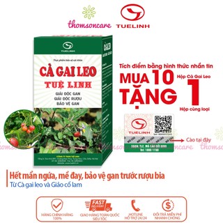 Cà gai leo Tuệ Linh - Giải độc gan - Chính hãng Tuệ Linh - Lọ 60 viên, hạ men gan