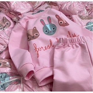 Bộ nỉ da cá thỏ hồng (size 12/18m-5/6y)
