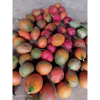Son dưỡng môi thiên nhiên, hỗ trợ giảm thâm môi, khô môi, nứt nẻ môi Son bi lăn dầu gấc chai 10ml  Thiên Ân handmade