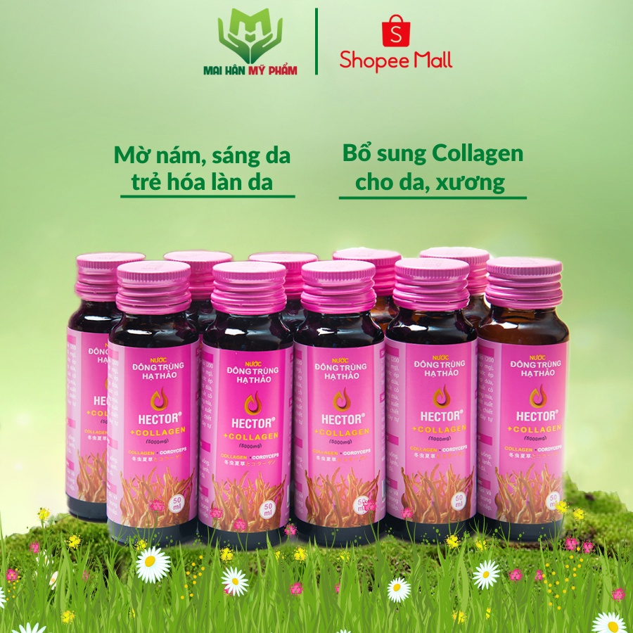 Nước đông trùng hạ thảo kết hợp Collagen Hector giữ gìn sắc xuân 10 chai - Mỹ Phẩm Mai Hân