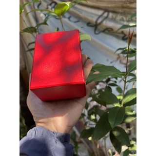 Hộp đồng hồ da cao cấp sang chảnh