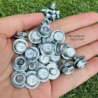 Bộ 4 ốc hộp xích DREAM, WAVE THÁI số 10  - ốc carte Dream - Wave Thái (XA6.2)