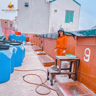 Nước Mắm Cốt Cá Cơm 1lít - Nguyên Chất Feedback Tốt - Mắm Quê (Đặc Sản Nước Mắm Thanh Hóa)