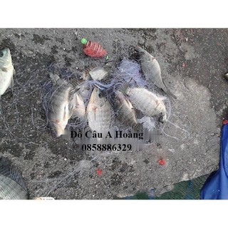 Lưới Lăng xê lò xo đa năng