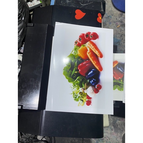 Máy in màu Epson L805 cũ