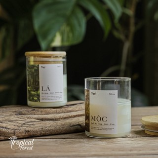 Nến thơm tropical forest | nến thơm thiên nhiên | nến thơm cao cấp