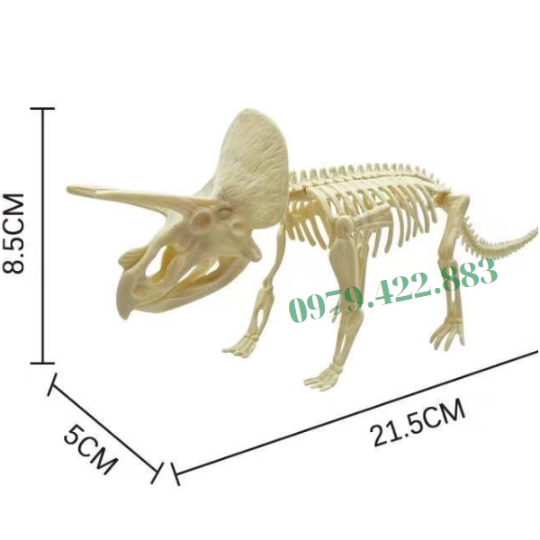 Bộ Xương Khủng Long Cao Cấp 16-22Cm