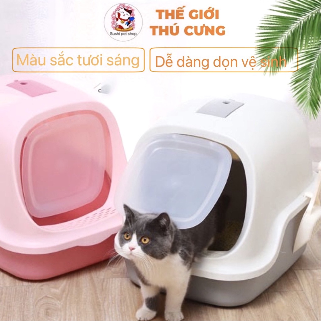 Nhà vệ sinh mèo nắp vỏ sò - Phụ kiện thú cưng sushi_pet_shop
