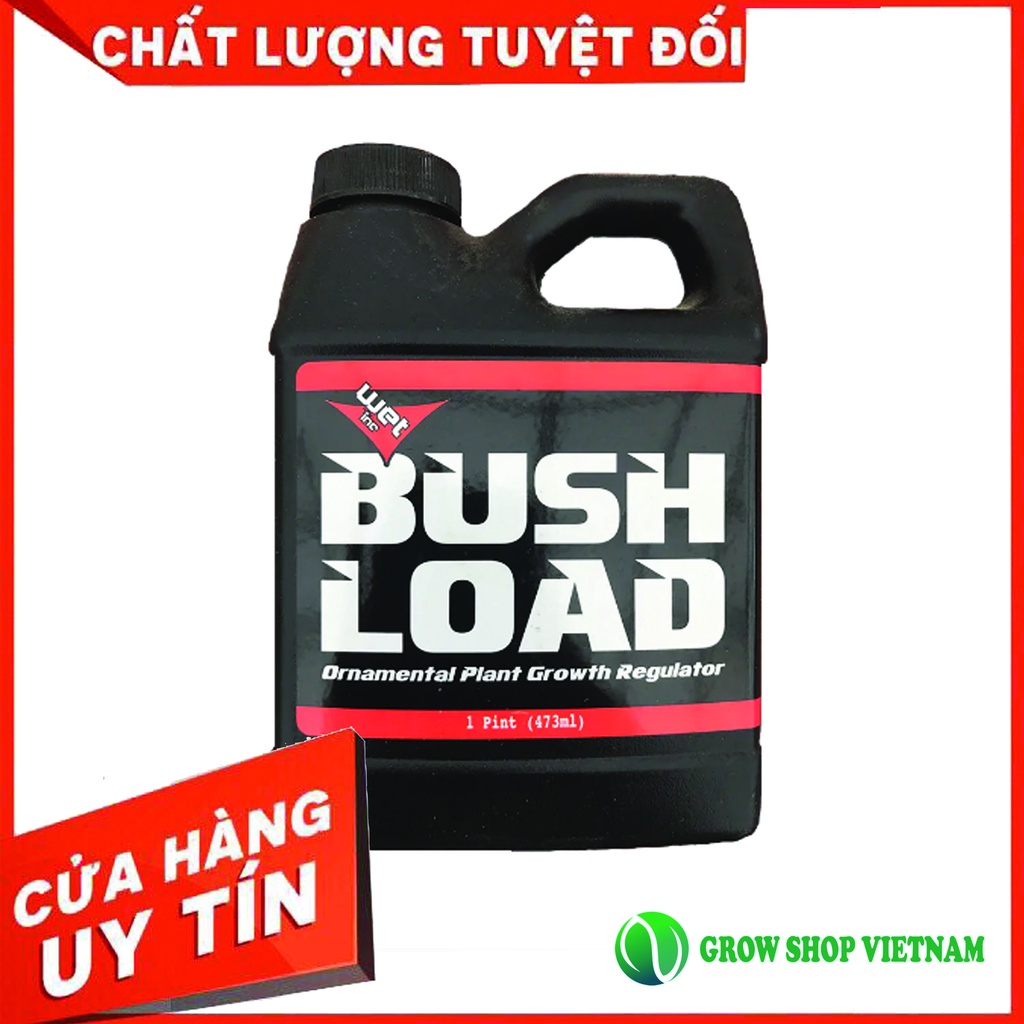 Phân bón Bush Load giúp kích búp tăng sản lượng