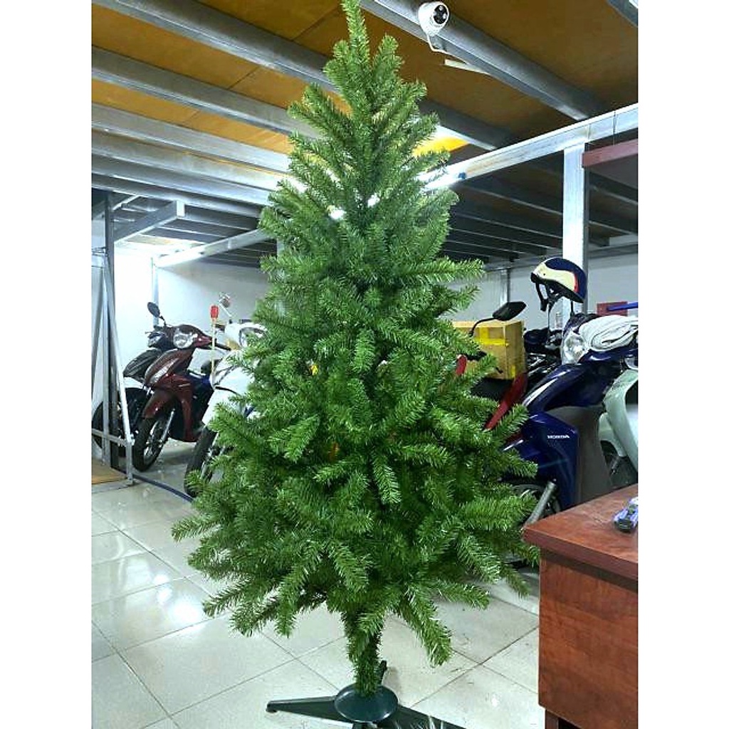 Cây Thông Noel Cao 2M Tặng Kèm 4 Dây Kim Tuyến Và 1 Ngôi Sao Kim Tuyến