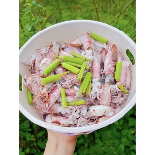 Mực sữa - 500gram