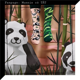 Tất cổ cao - Vớ 1 đôi 2 chiếc khác nhau - Mismatched socks