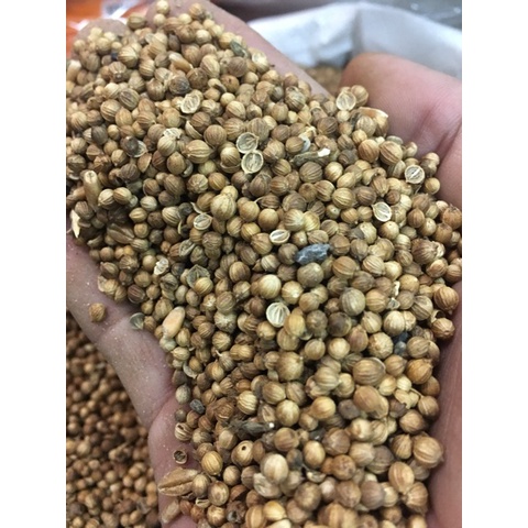 1kg HẠT NGÒ KHÔ/ HẠT MÙI KHÔ - dùng nấu phở, nấu sâm