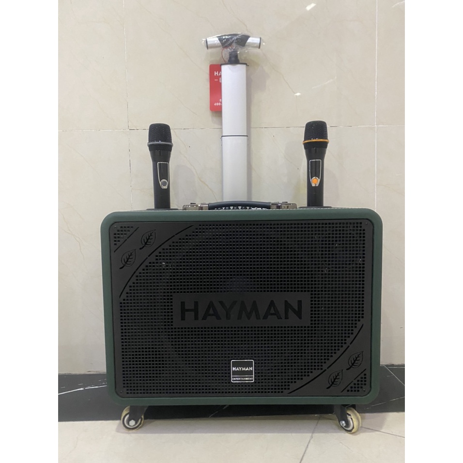 Loa kéo di động Karaoke Hayman X8-12 ( 2 Micro)