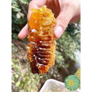 Mật Ong Nguyên Chất Hoa Cà Phê BeeFarm