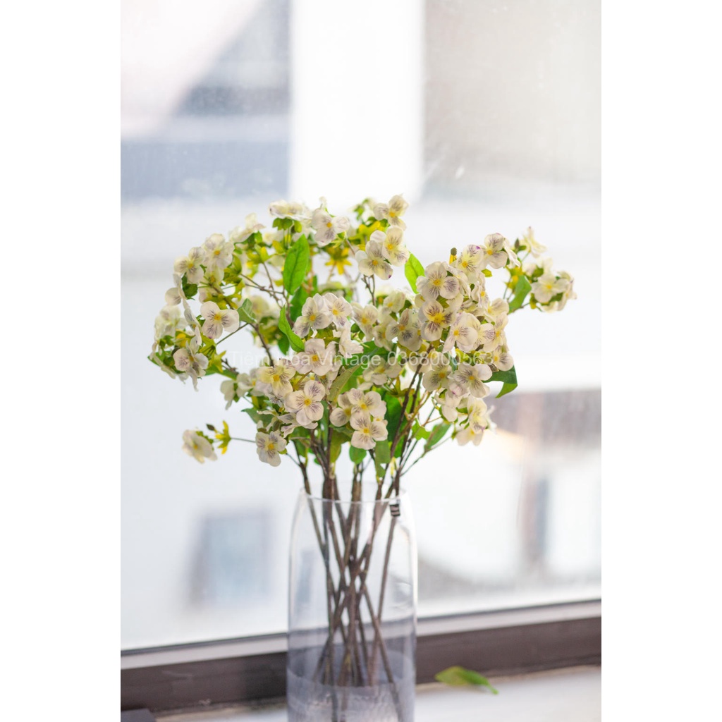 Hoa Păng Xê - Hoa Lụa Cao Cấp Decor Trang Trí