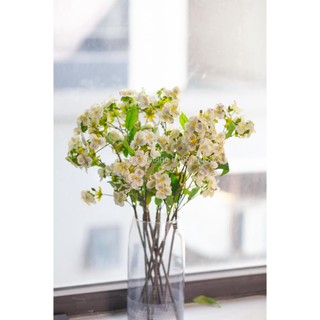 Hoa păng xê - hoa lụa cao cấp decor trang trí