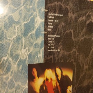 Nirvana ‎– Nevermind vinyl