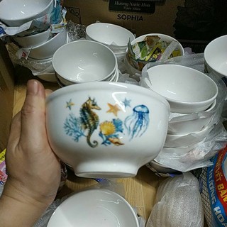 15 Chén cơm sứ trắng bóng hoa văn