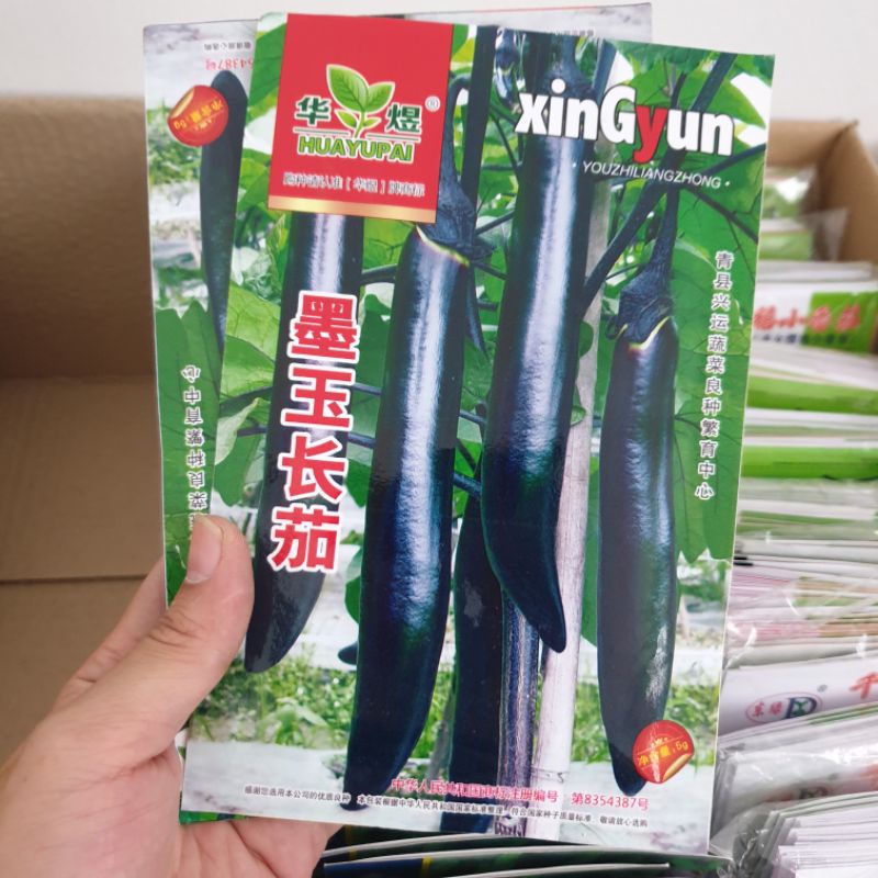 Hạt giống cà tím siêu dài. Hàng Trung Quốc. Gói 2 gram. Tỉ lệ nảy mầm cao