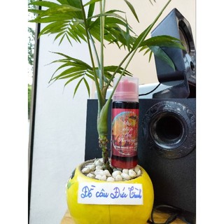 Dụ chép Lục Hương Sapham