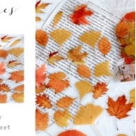 Túi 40 Nhãn Dán Trong Suốt Hình Hoa Cúc / Cỏ Ba Lá / Nấm Xinh Xắn