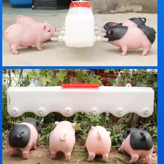 Bình Bú Heo Con Tiện Lợi, Chính Hãng