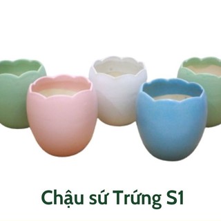 Chậu sứ BÁT TRÀNG dáng Trứng S1 - Green Life