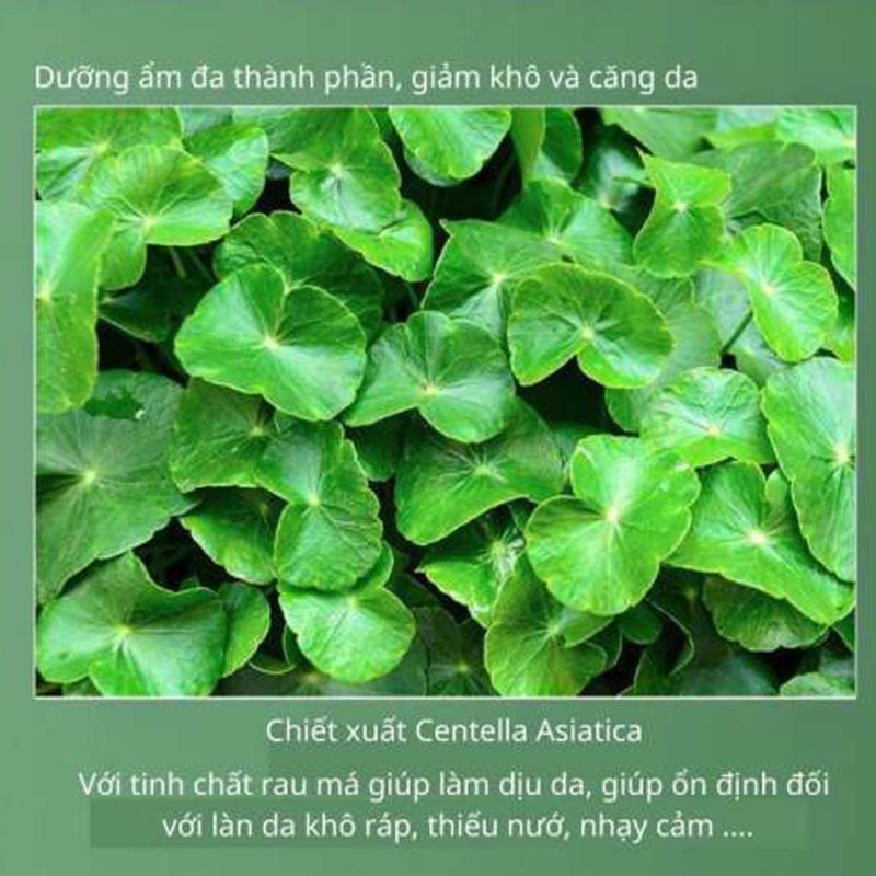 Combo mặt nạ sủi bọt rau má Ginbi và tẩy tế bào chết mâm xôi làm sạch và sáng da