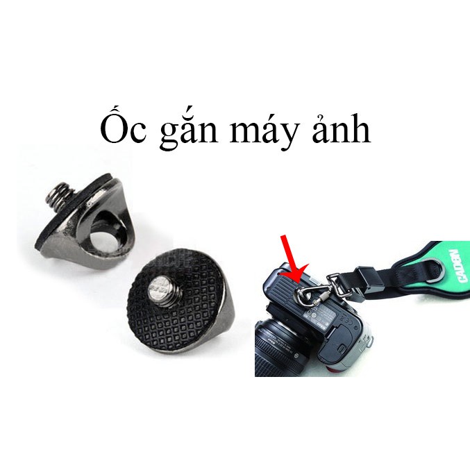 Ốc 1/4 gắn máy ảnh