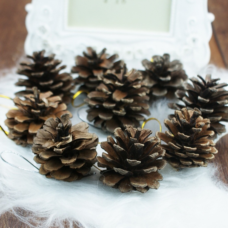 Túi 6 Quả Thông Khô